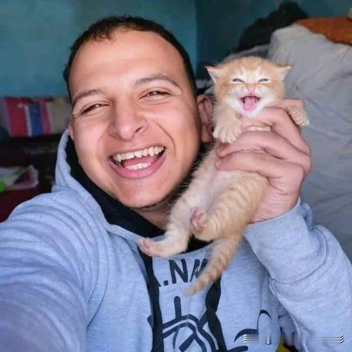 当小猫咪遇到了宠爱它的人……