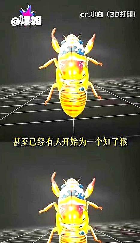 临沂的林子还没彻底热起来，知了猴刚在泥下打个哈欠，热成像先把坐标亮红了。
干了二