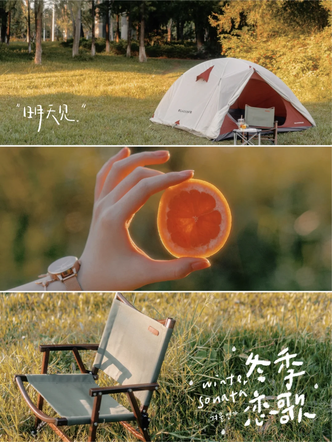 手机调色✨氛围秋天电影感滤镜🍂拯救废片‼️