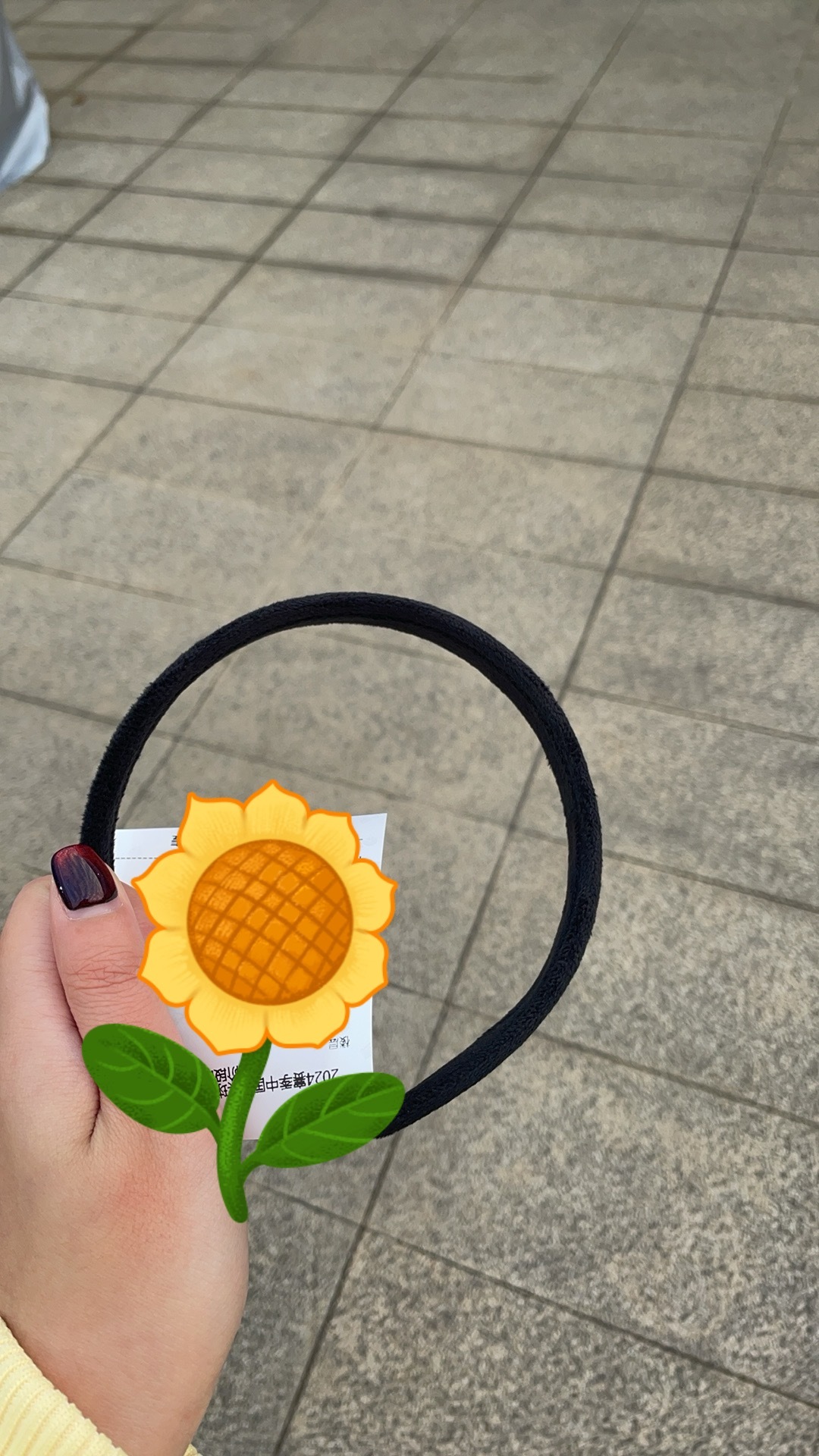 谁家好人发应援 自己只有发箍的圈了😂😂上面的莎莎不见了 