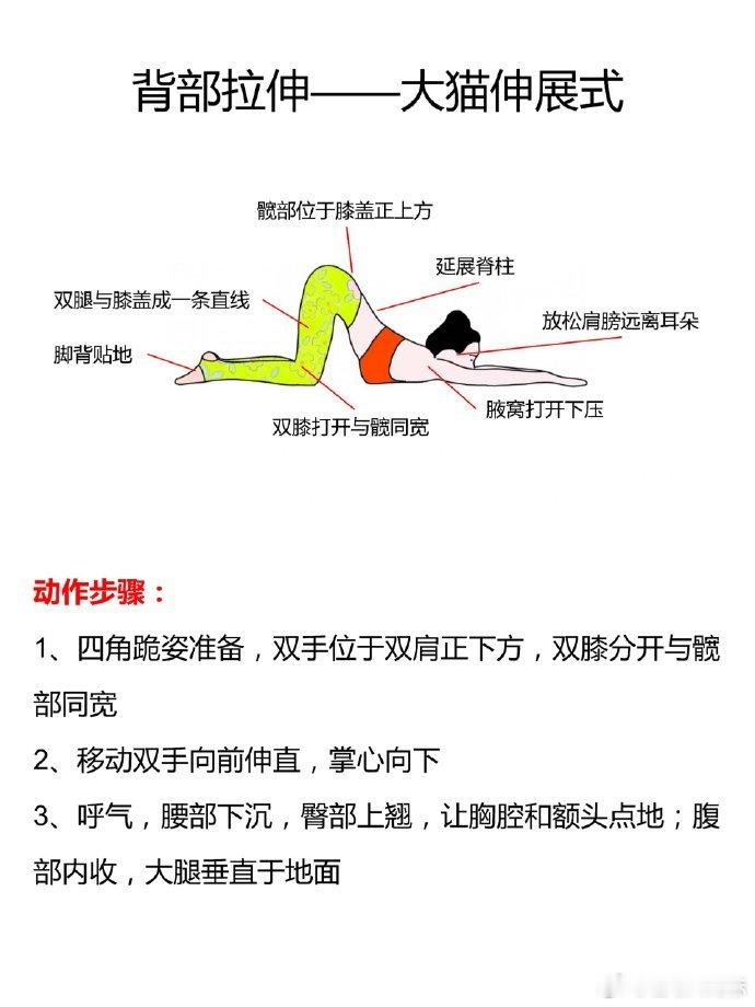 就这个拉伸👆🏻你永远可以相信人民日报每天每个动作练习3-5组，每组保持3个呼