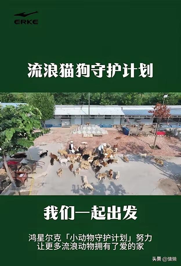 真心替鸿星尔克捏一把汗！
 
好不容易凭良心、凭担当出圈，不靠炒作、不靠营销，靠