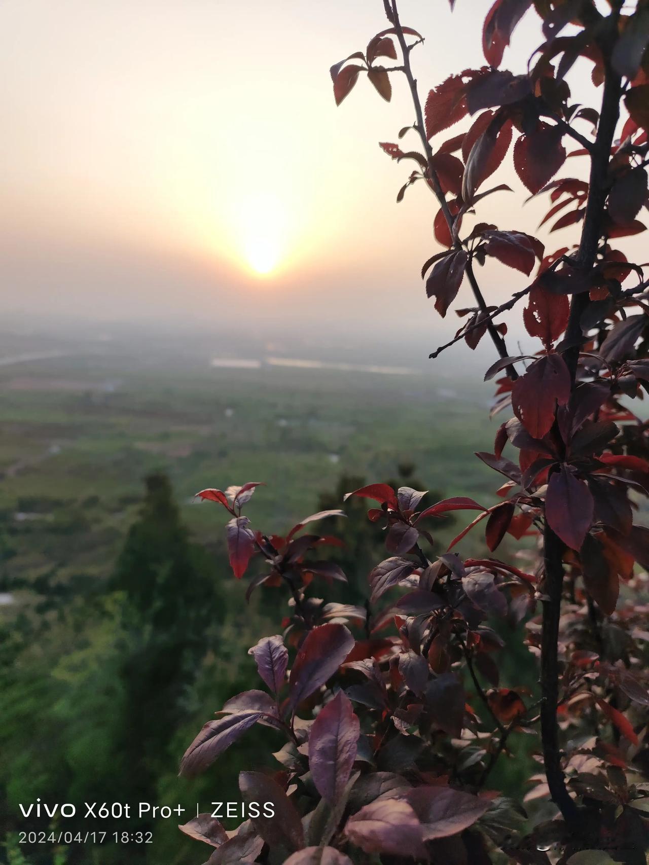 我喜欢春天的晚霞，春天是一个充满生机和希望的季节，夕阳则为我们的生活增添了一份浪