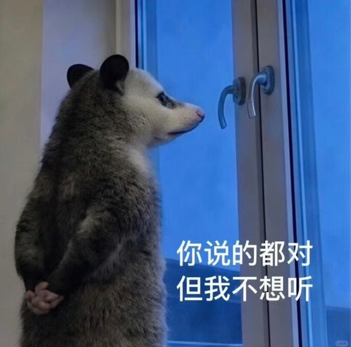 非常高嘉辉 ​​​