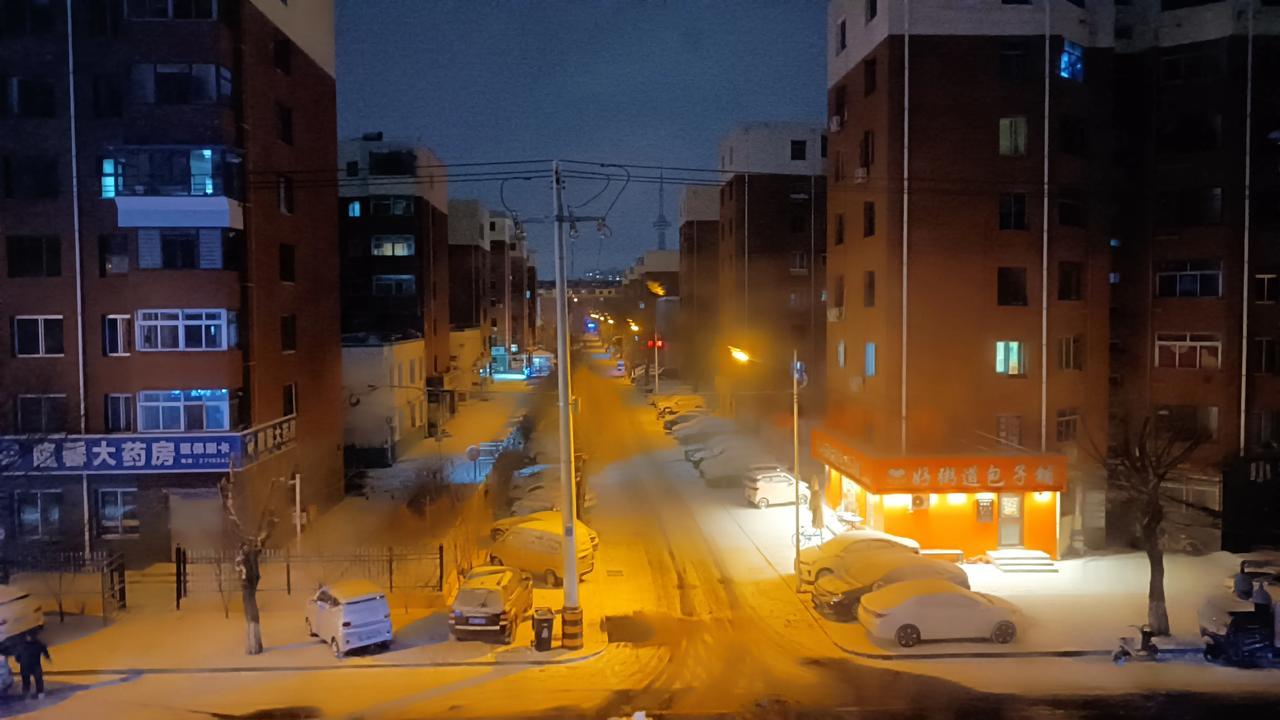 飞雪送春归，我的城市今天真的下雪了！瑞雪和立春实现了完美交接！