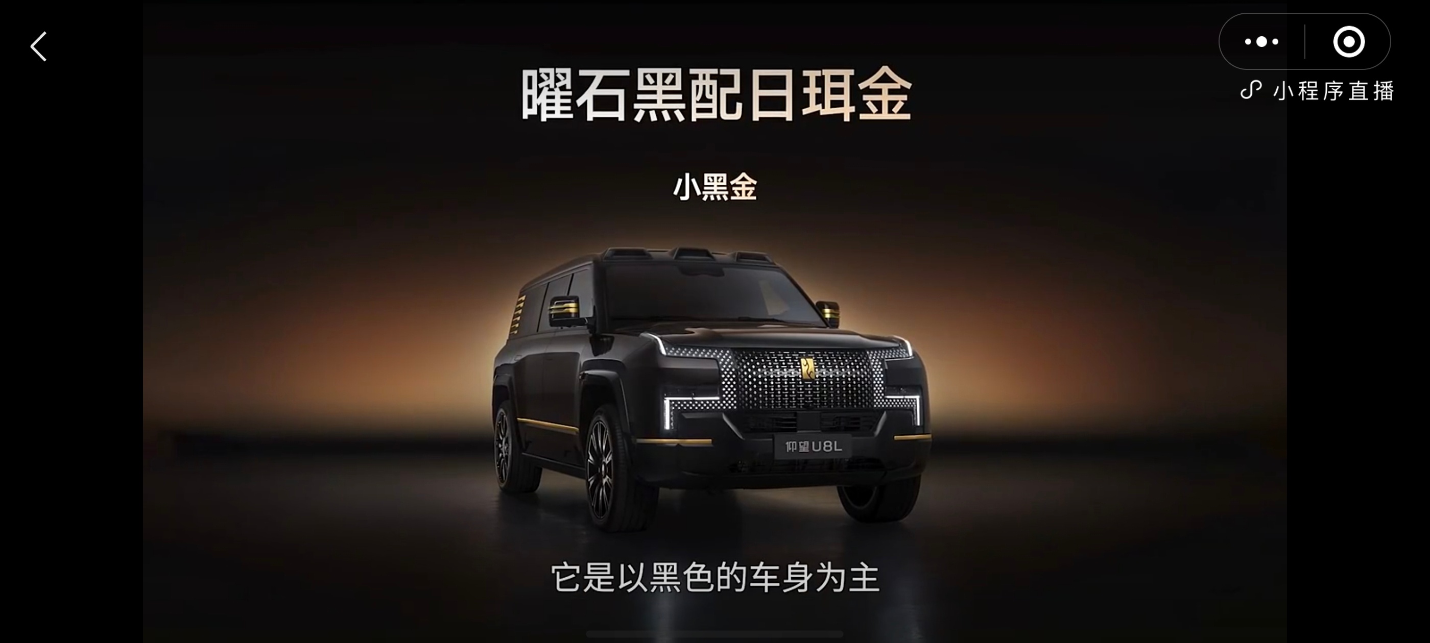 仰望U8L鼎世版，这两个配色，一个是黑色巨多的小黑金，一个是金色巨多的大黑金。你