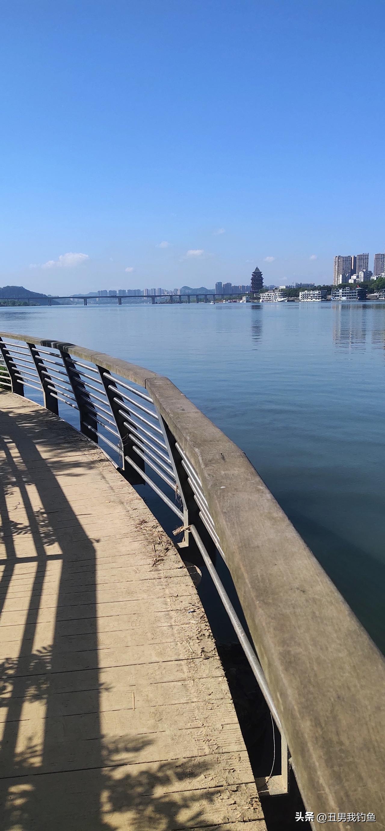 南充嘉陵江好多鱼在江边开始产卵了，这画面太壮观！每年3月1日至6月30日是禁渔期