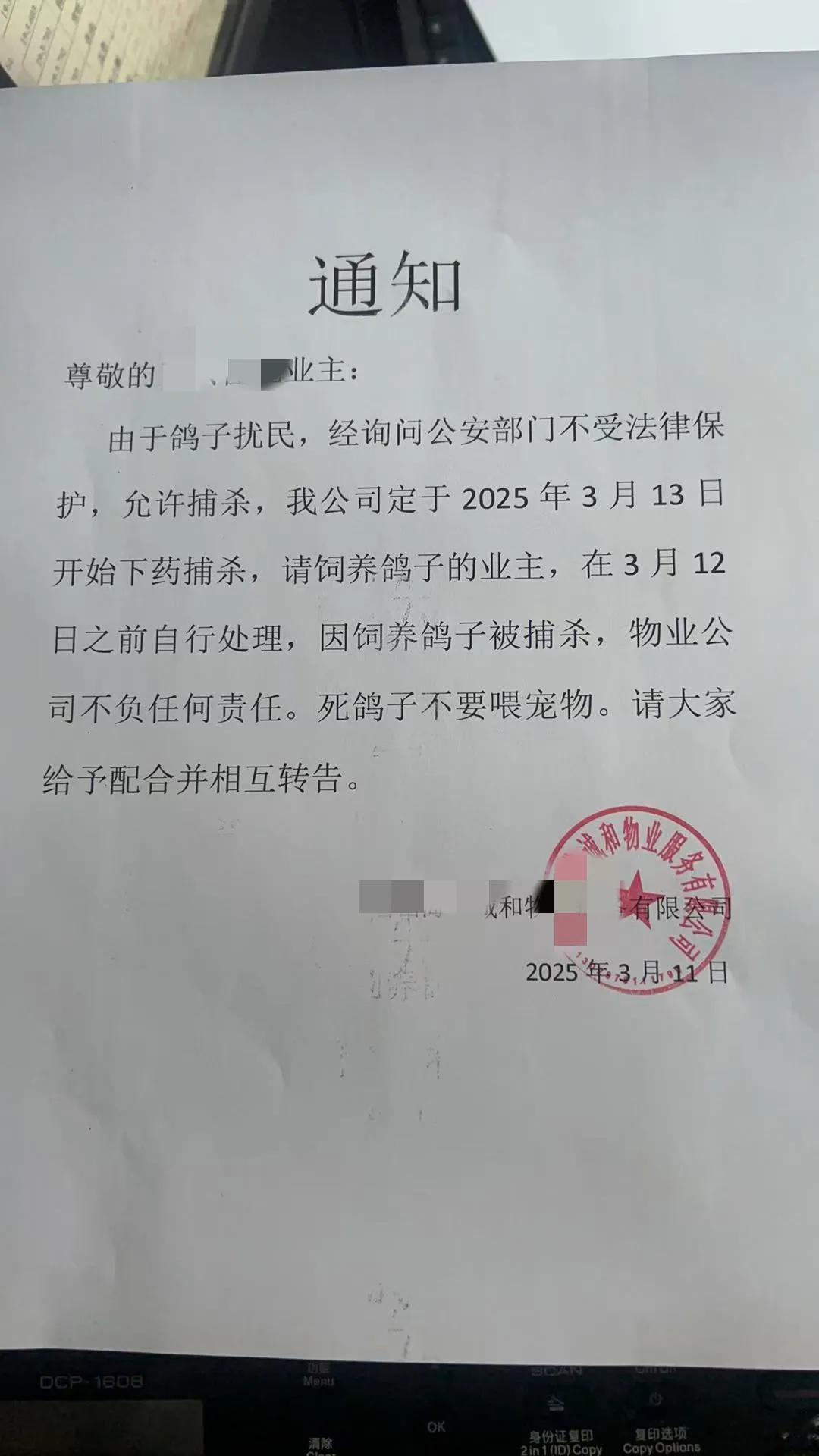 有个困扰的问题，困扰了我很多年。

就是楼上的鸽子，每年不间断的孵化，左一窝，右