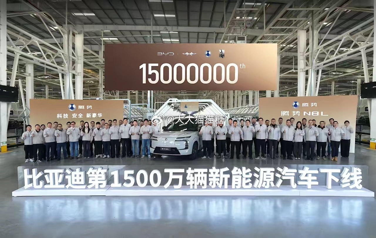 彰显世界冠军硬核实力！！2025年，以460万辆的全球销量，一举拿下中国及全球新