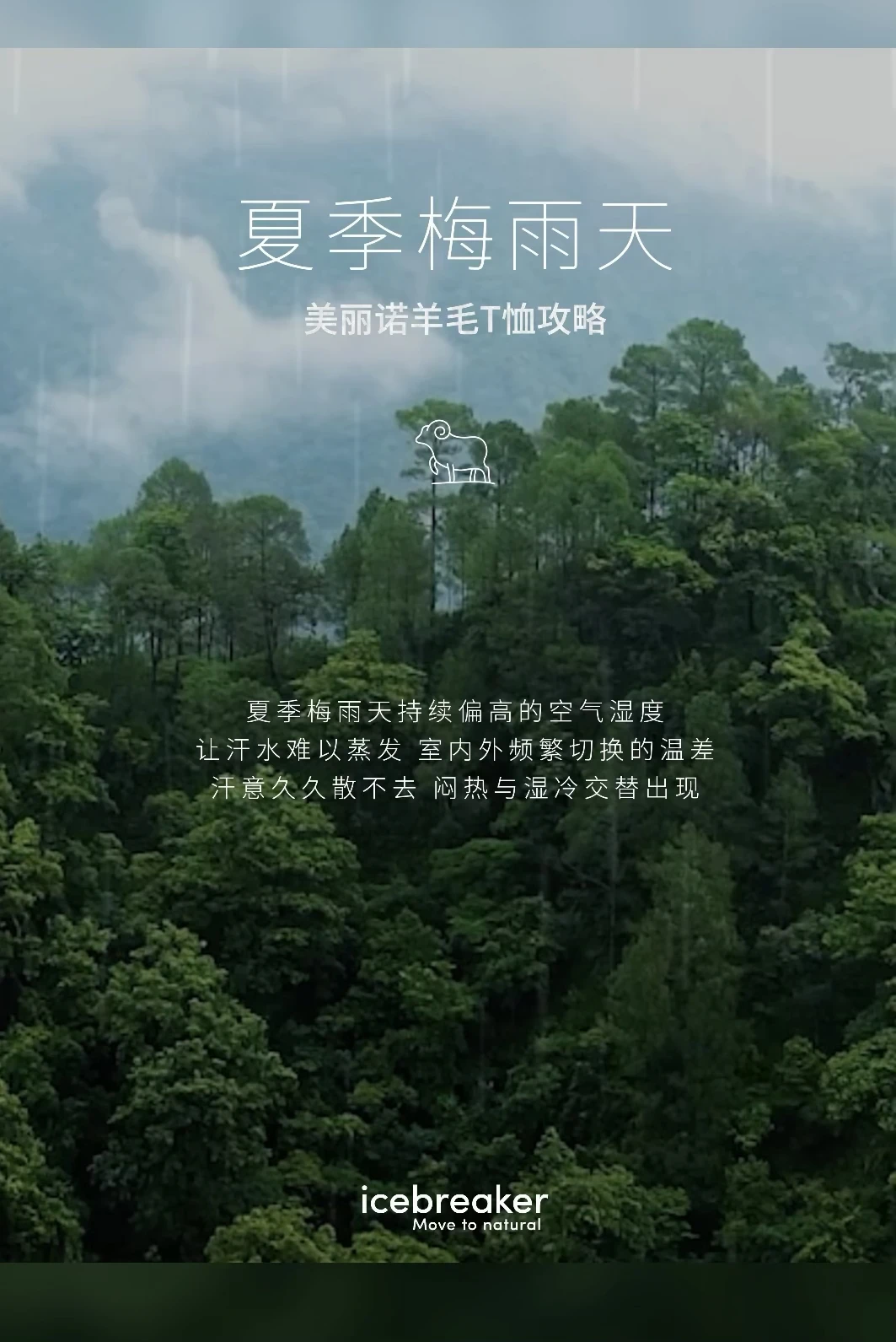 梅雨季值得投资的t恤