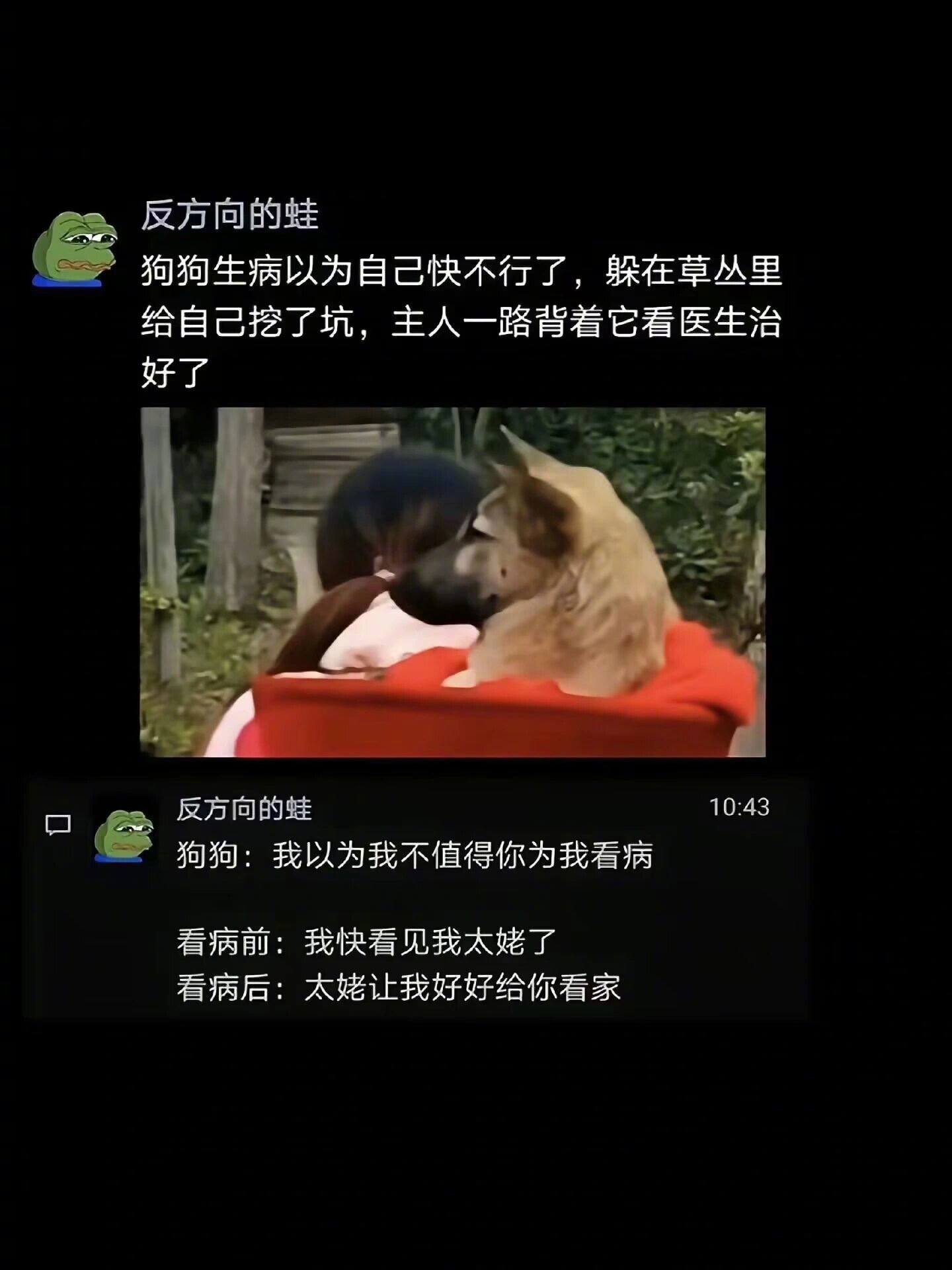 被小动物治愈的瞬间 ​​​