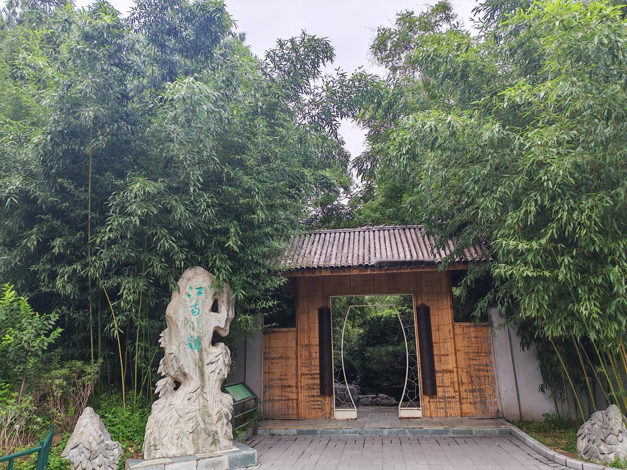 这个方式真的值得试，一个人漫游的爽感，试过一次就再也不想赶景点打卡了。
以前出门