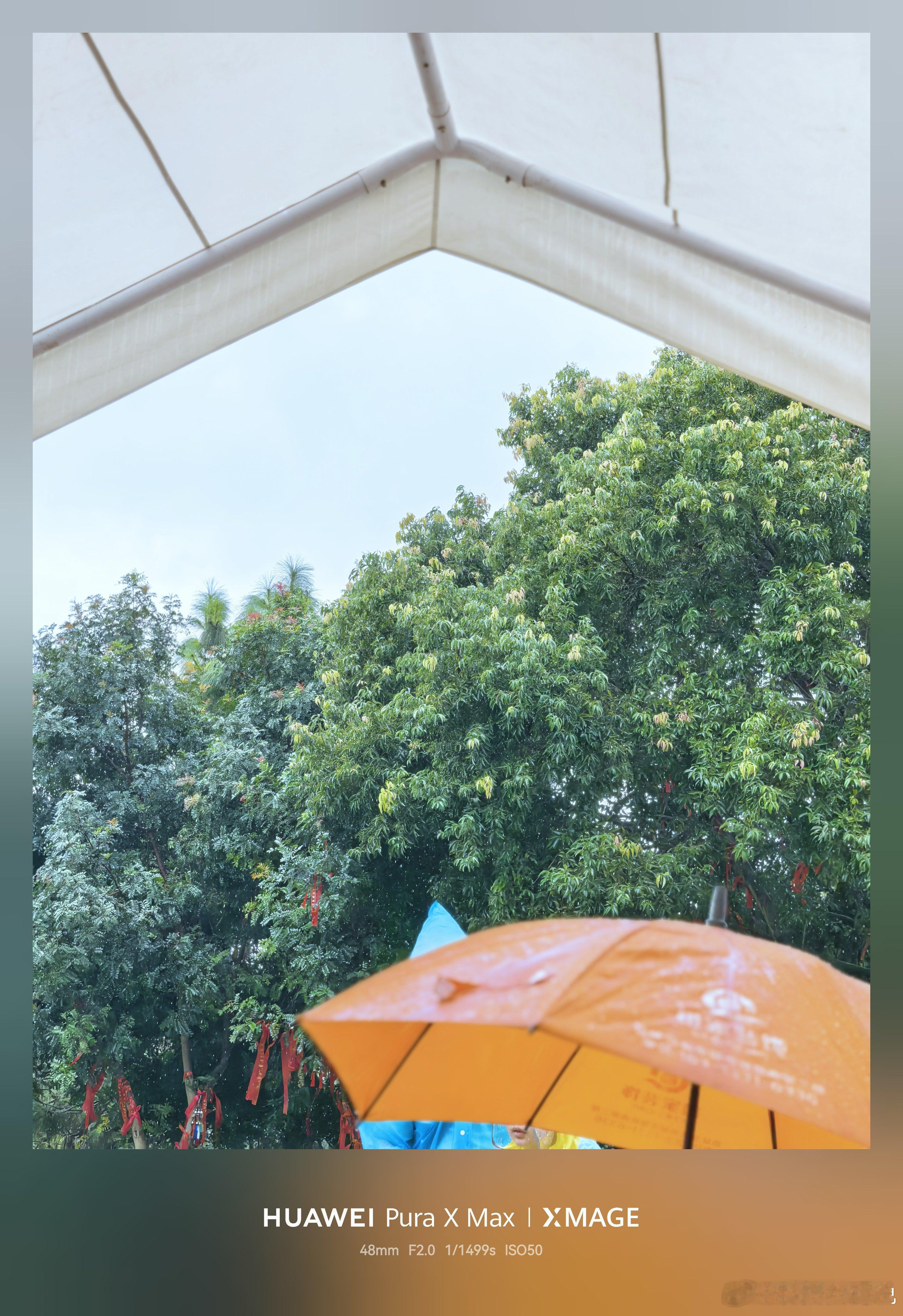 大太阳突然转暴雨了你哪里天气如何呀？ 