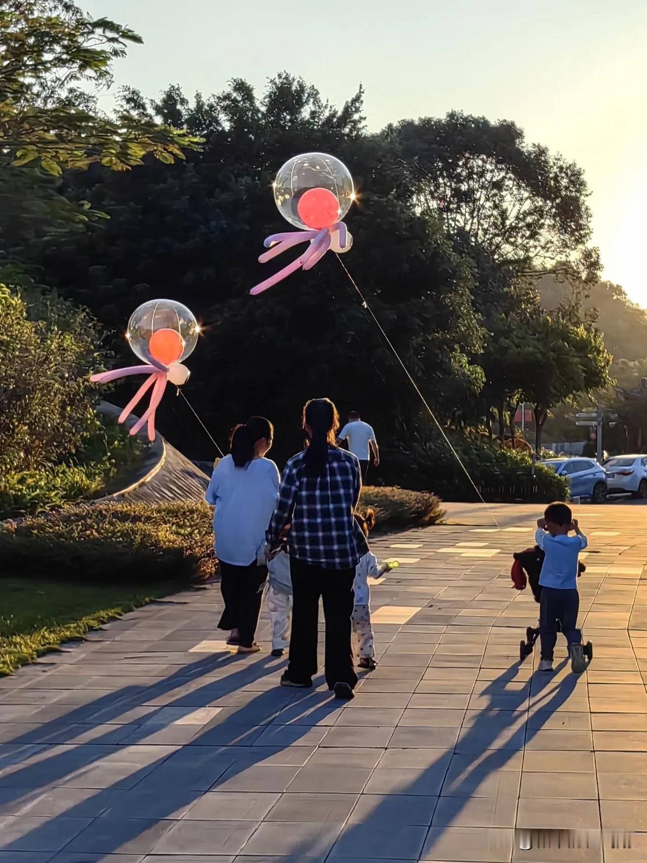 我在广州从化流溪河湿地公园等你！
 