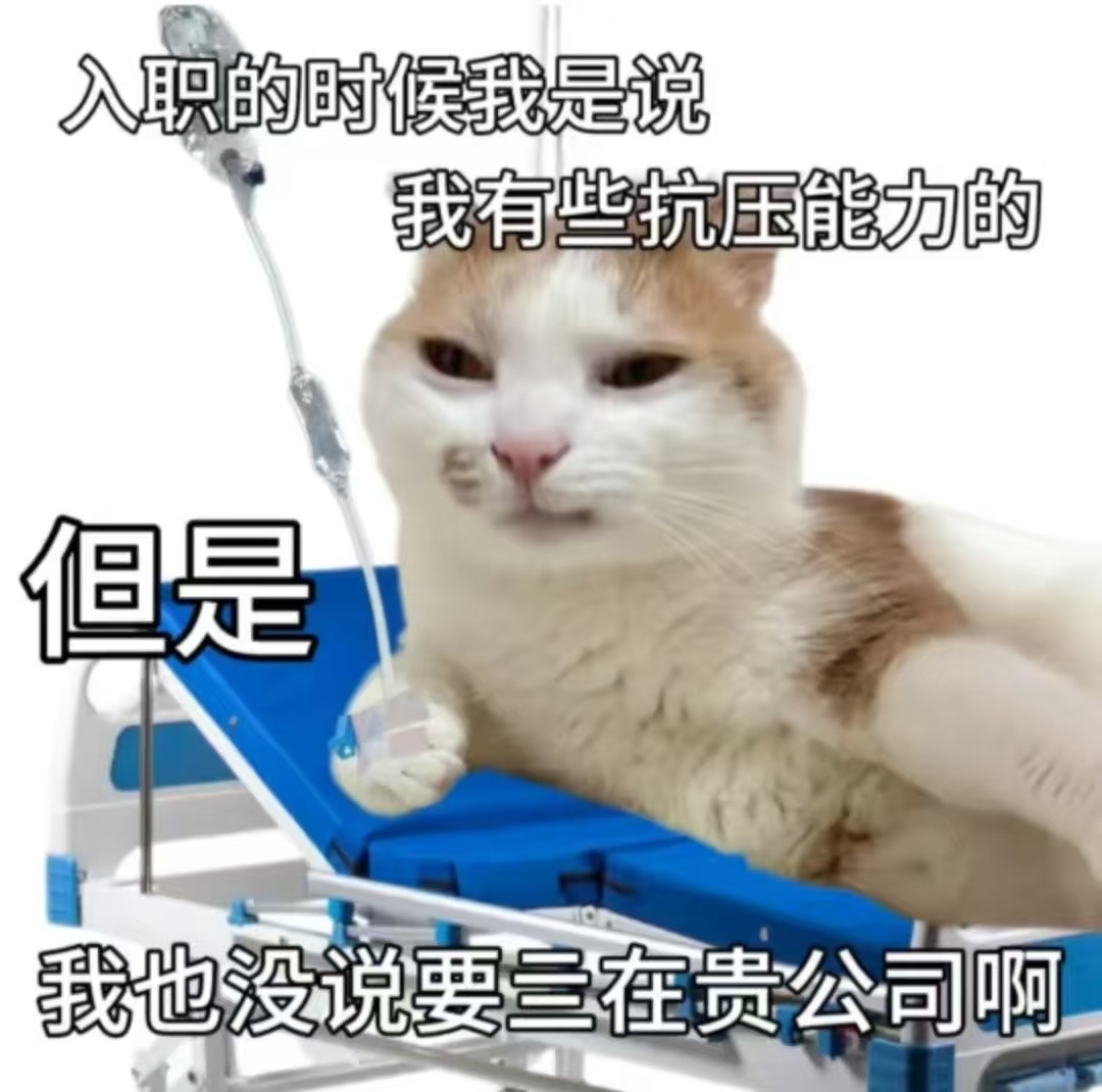 很喜欢月季的花语：月月上班，天天心悸 ​​​