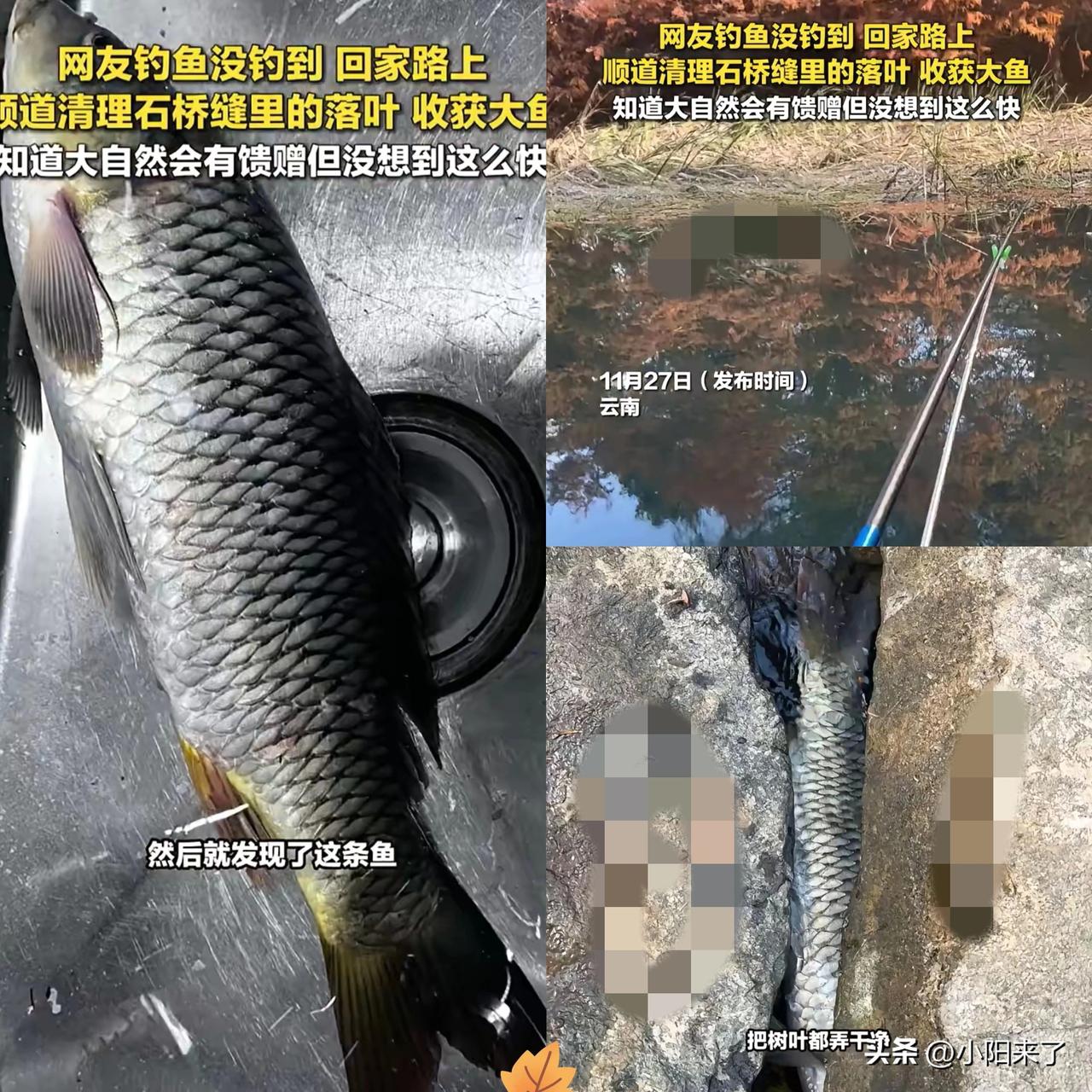 “这就是命！”云南，一女子去河边钓鱼，结果一条都没钓到，正准备空军回家时，路过被