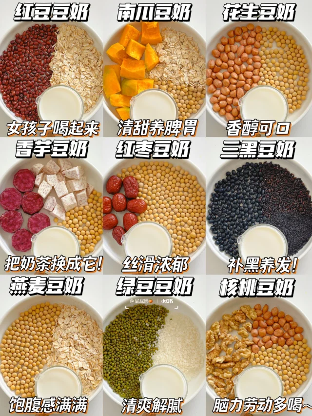 破壁机营养食谱‼️九款敲好喝的豆奶做法