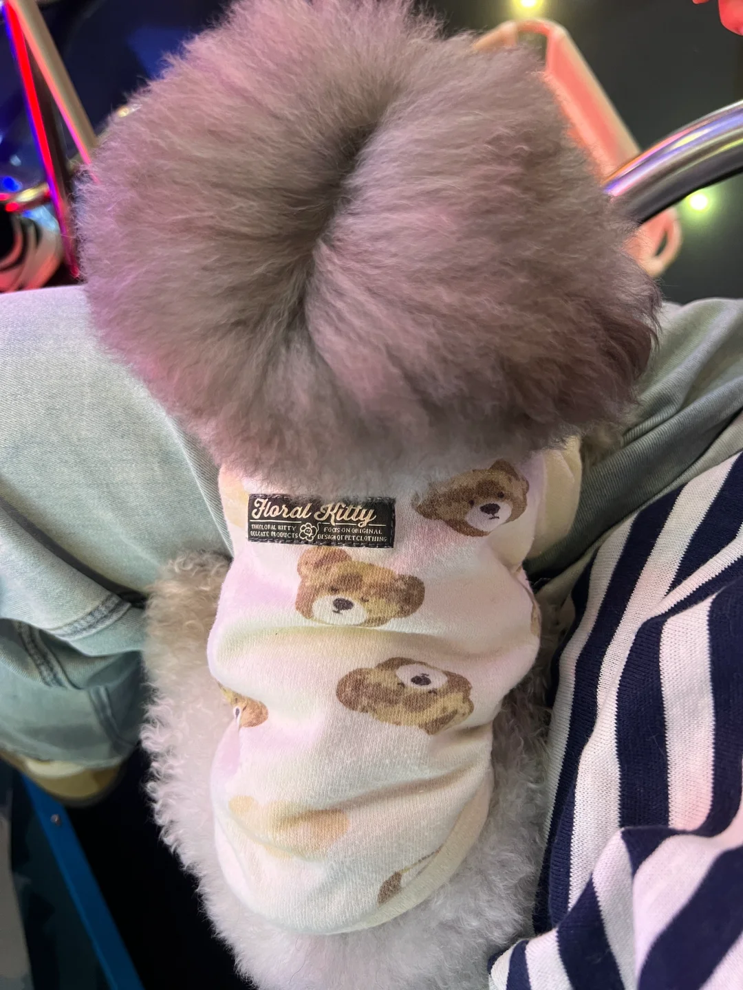 今日中分头