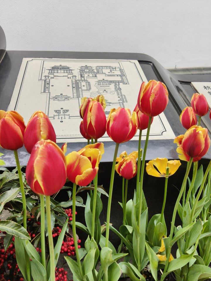 阳光即将上线，“连晴”十天