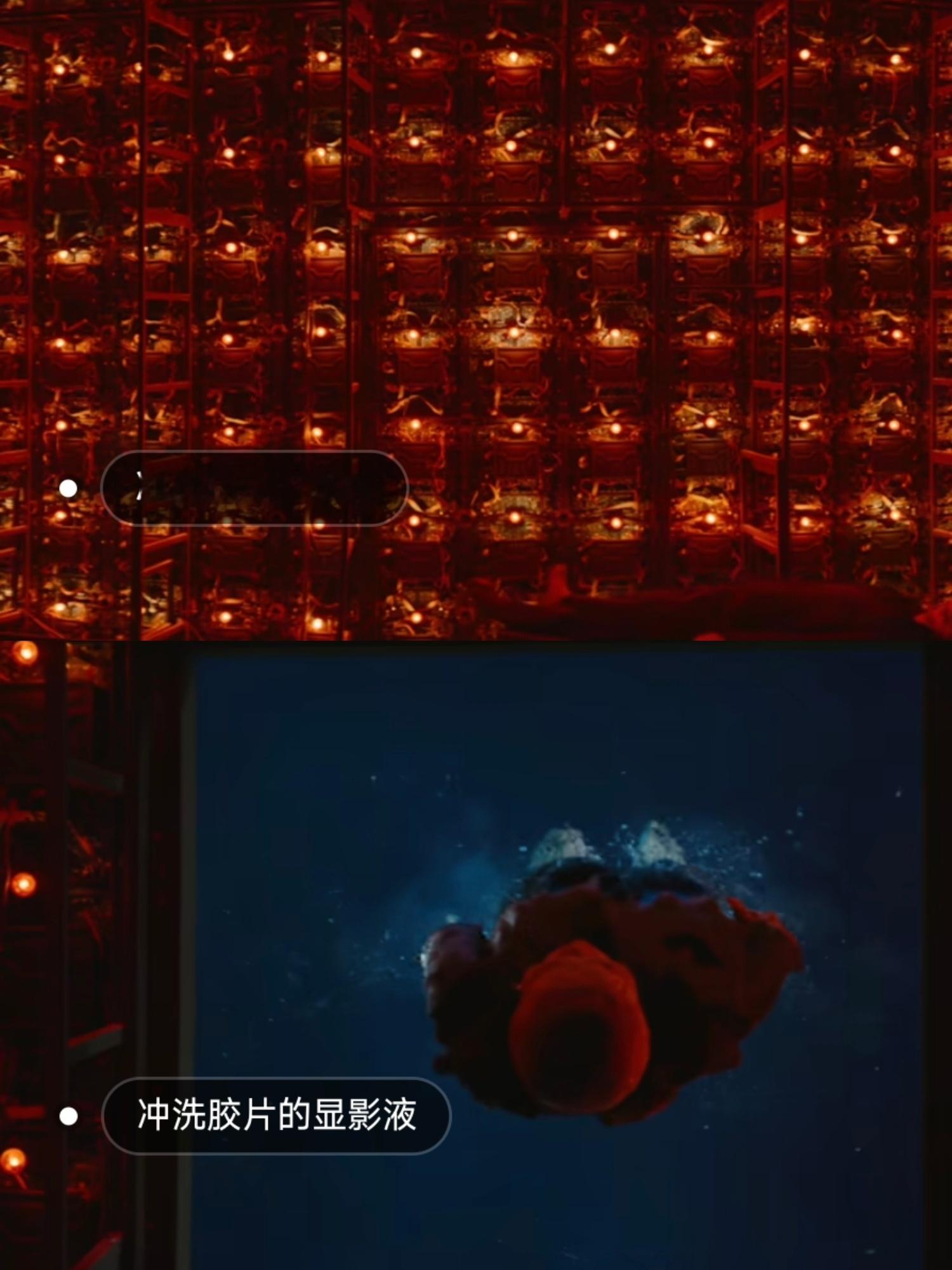 狂野时代让观众成为创作的一部分 《狂野时代》最牛的是让观众“入戏”更深！你可以代