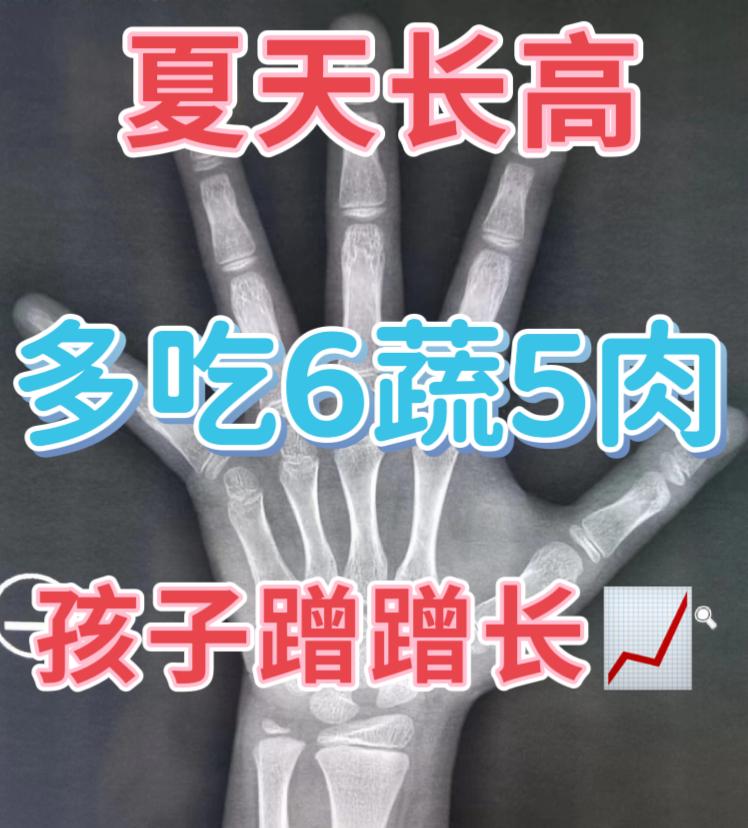 立夏后多吃6蔬＋5肉，孩子助长小帮手！
 
【案例分享】乐乐，7岁，去年五一来我