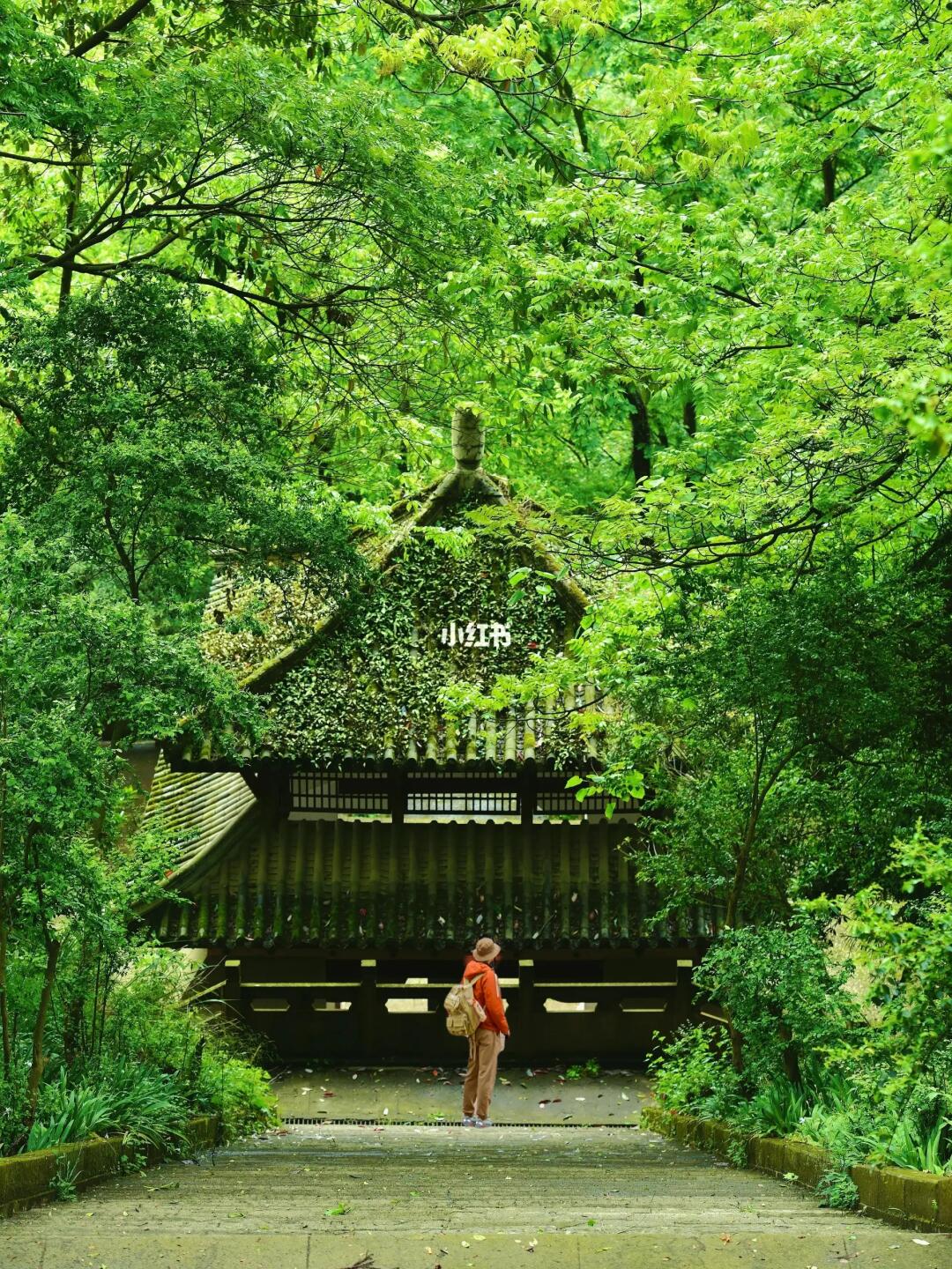 成都1.5h｜被严重低估的小众文化爬山路线