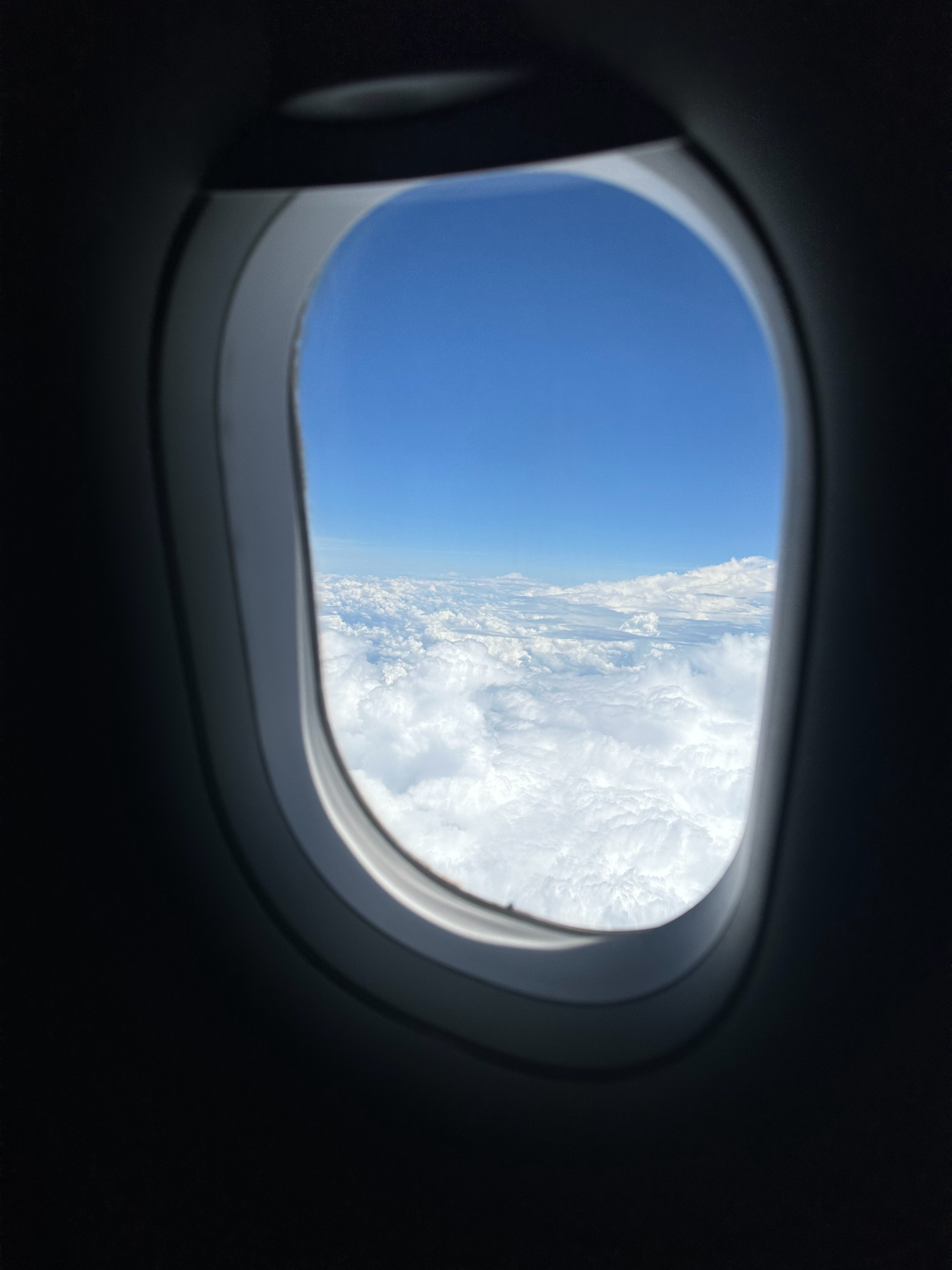 东拼西凑还能凑出来挺多库存🫨 还能发两次🥱🥱🥱 ​​​