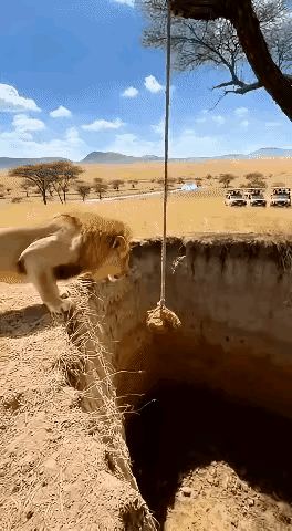 像不像现在我们的大A市场。