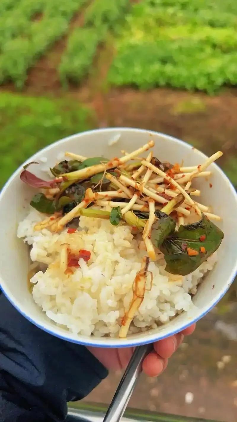 浙江远嫁四川，今天的午饭
今天在农村婆家的午饭，实在不知道怎么吃呀。