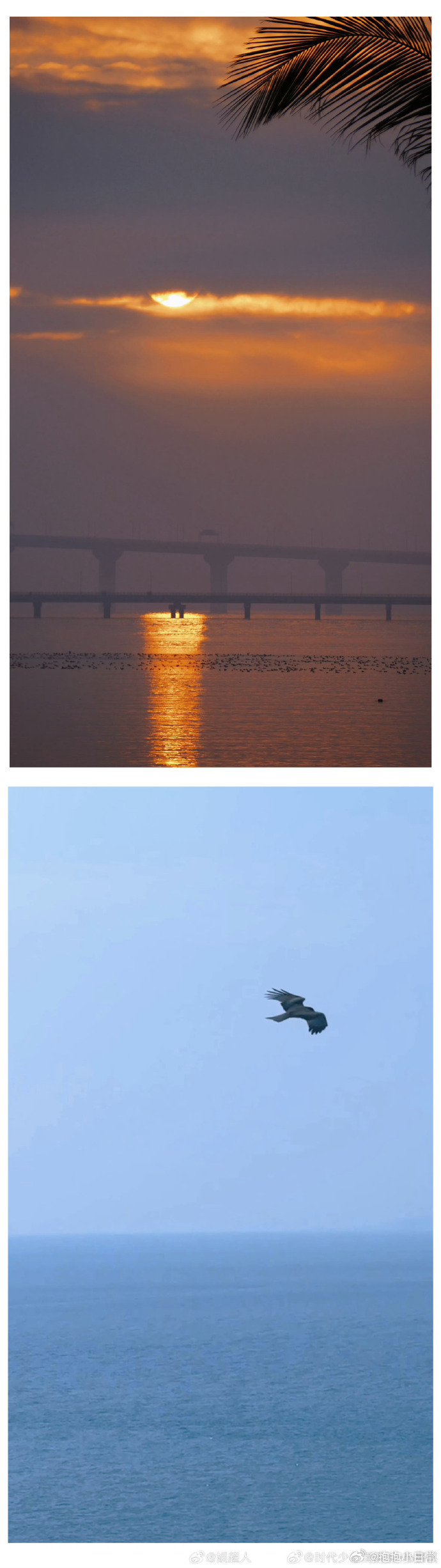 马嘉祺珠海plog 难怪之前好多人在珠海偶遇马嘉祺，原来小朋友是去好好放松啦，玩