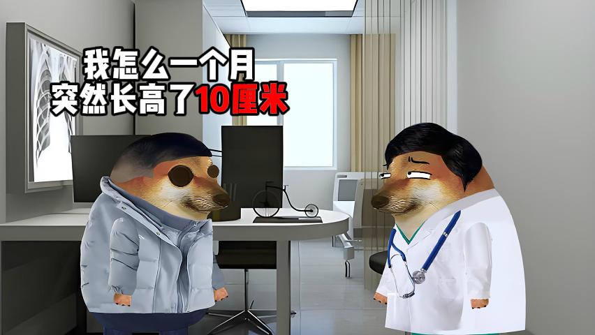 有没有体面一点的办法长高。