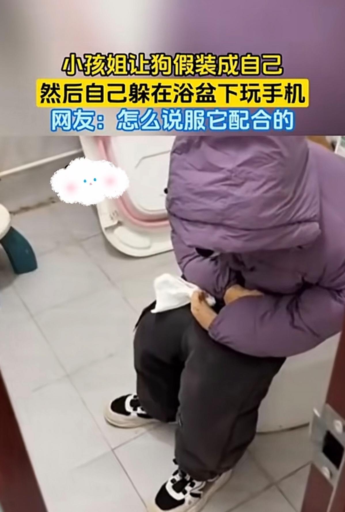 还真挺像的，一开始我以为坐在马桶上的是一个小孩子。没想到居然是他们家的二哈（狗狗