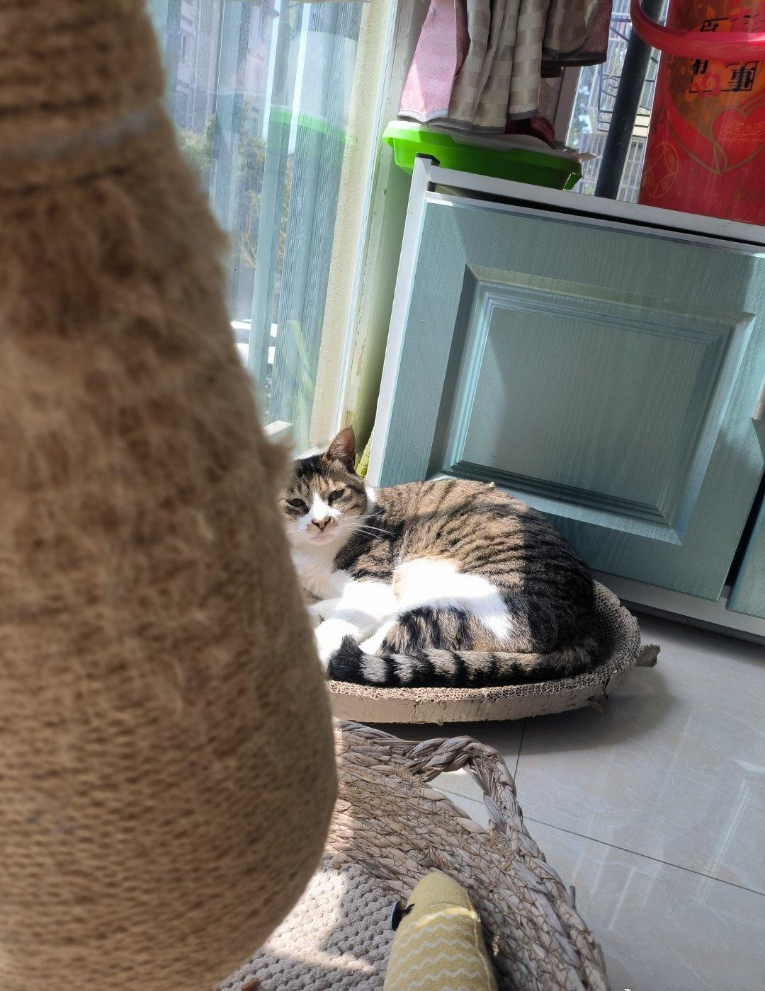 中午一睁眼，看到阳光铺满了房间，拉开窗帘一看，
啊果然!
期待已久的好天来了