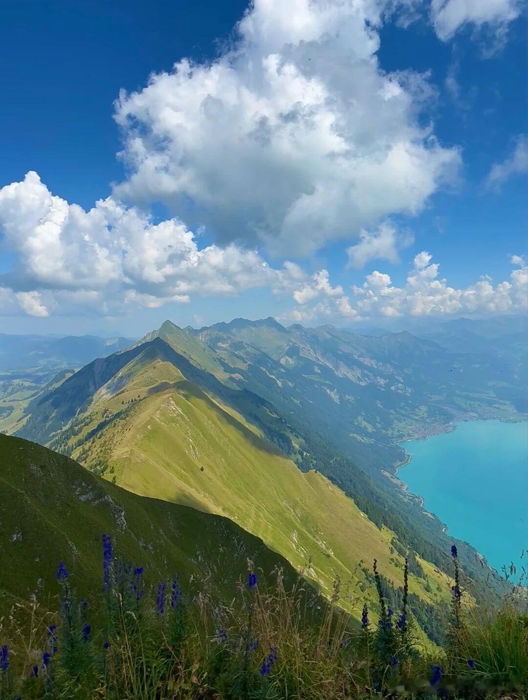 瑞士的Hardergrat哈德山脊，简直把自然与人文的美融合到了极致！羱羊在山脊