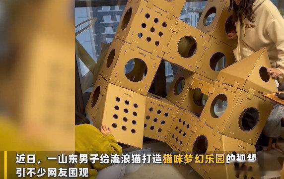 #男子为200只流浪猫打造梦幻乐园# 社会之中就是需要更多像该男子一样有爱心的人