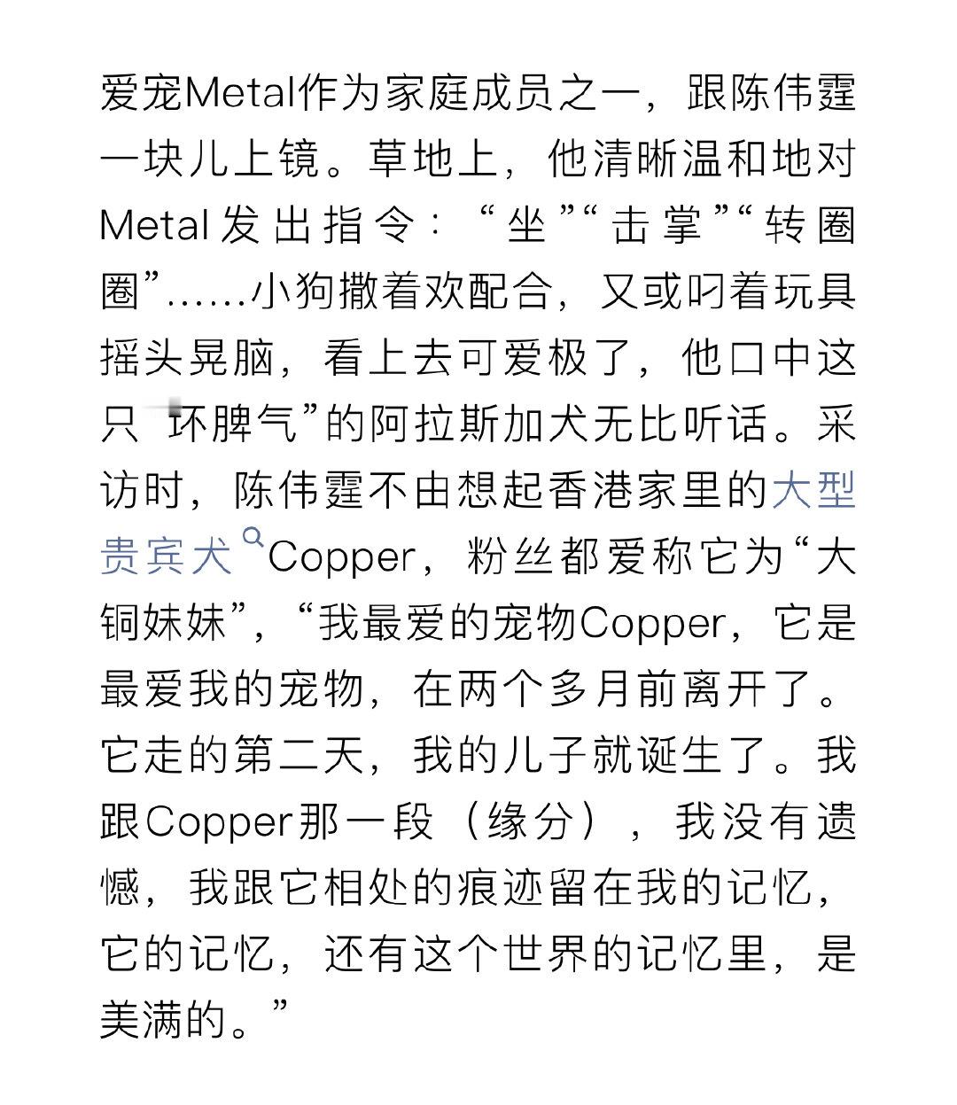 陈伟霆的狗在儿子诞生前一天离开了陈伟霆爱宠去世第二天儿子诞生 陈伟霆的狗在儿子诞