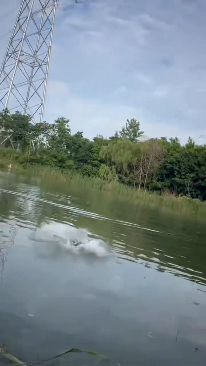 我要做个齐天大圣，回去告诉玉帝老二，准我为齐天大圣，从此不动招兵。如若不然，我就
