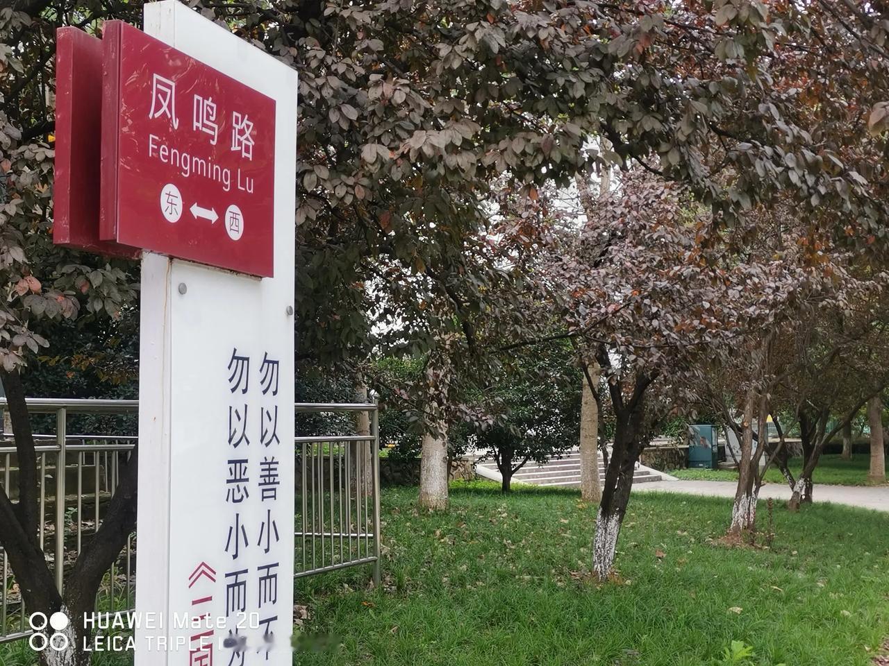 今日清晨
已经不早啦，到办公室七点四十。
要干嘛？
有动力，人不累。
睡一觉，似