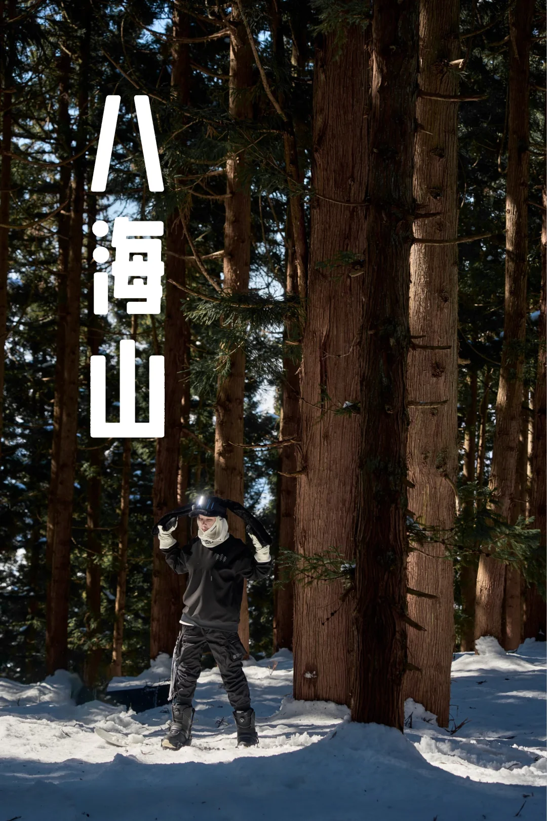 八海山绿野仙踪版本