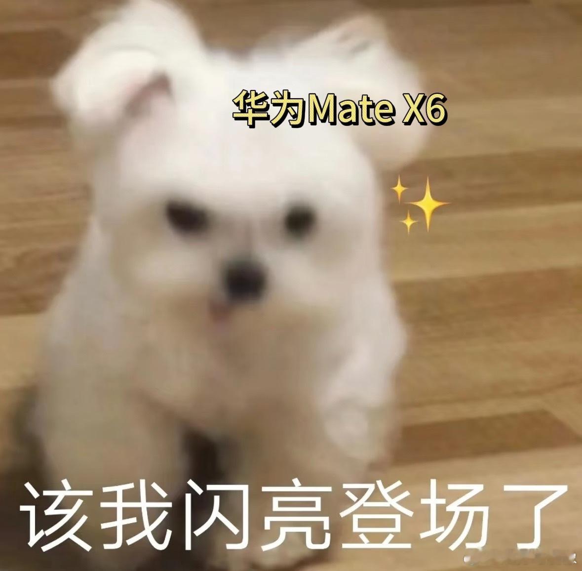 对于现代人来说网速和幸福感紧密挂钩！看了华为Mate X6现场测速以后真的大为震