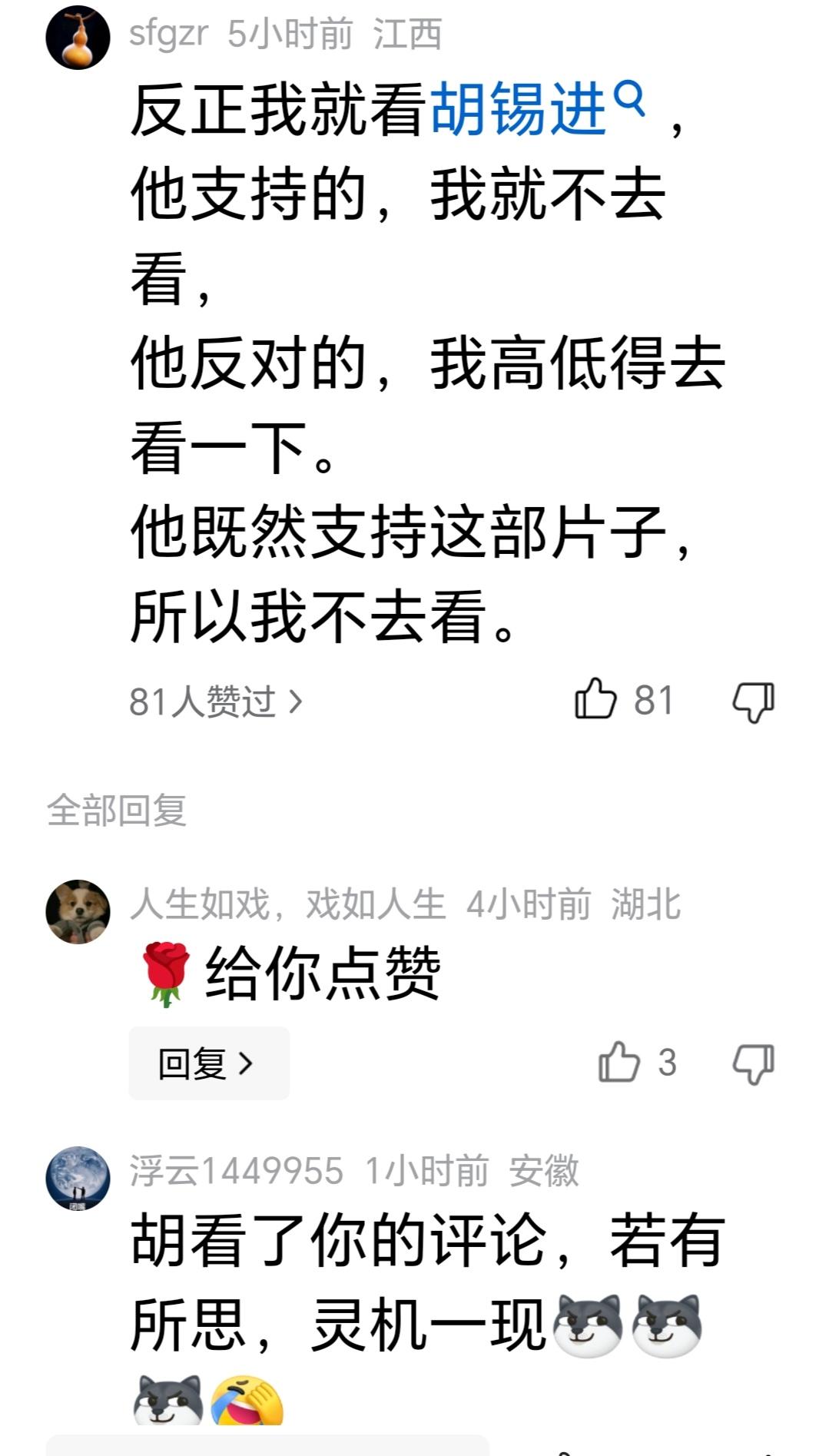 胡锡进，看到这条评论，你情何以堪？