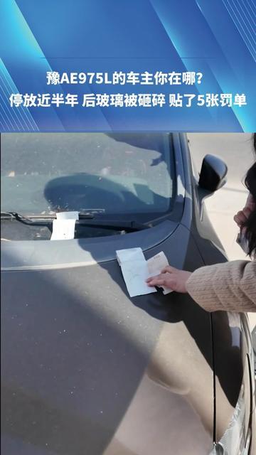 郑州街头这辆豫AE975L，停了快半年，后玻璃碎个大洞，罚单贴5张，车主咋没影了