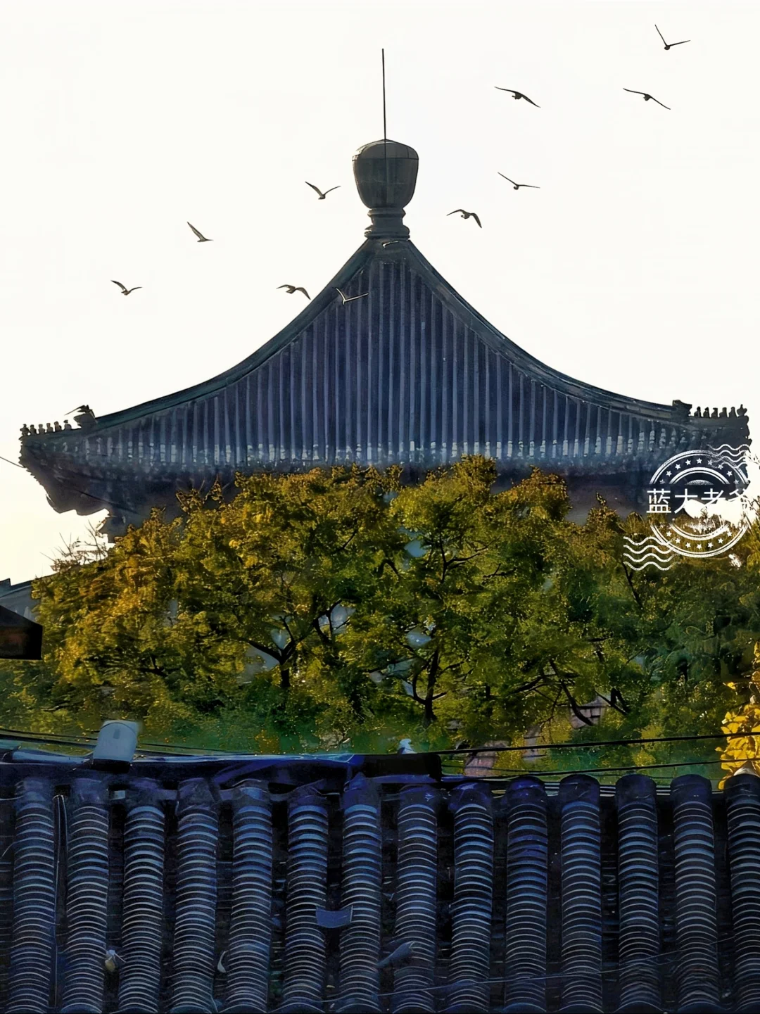 胡同拾遗珍89 秋色上新 庄老师的宅子开修了