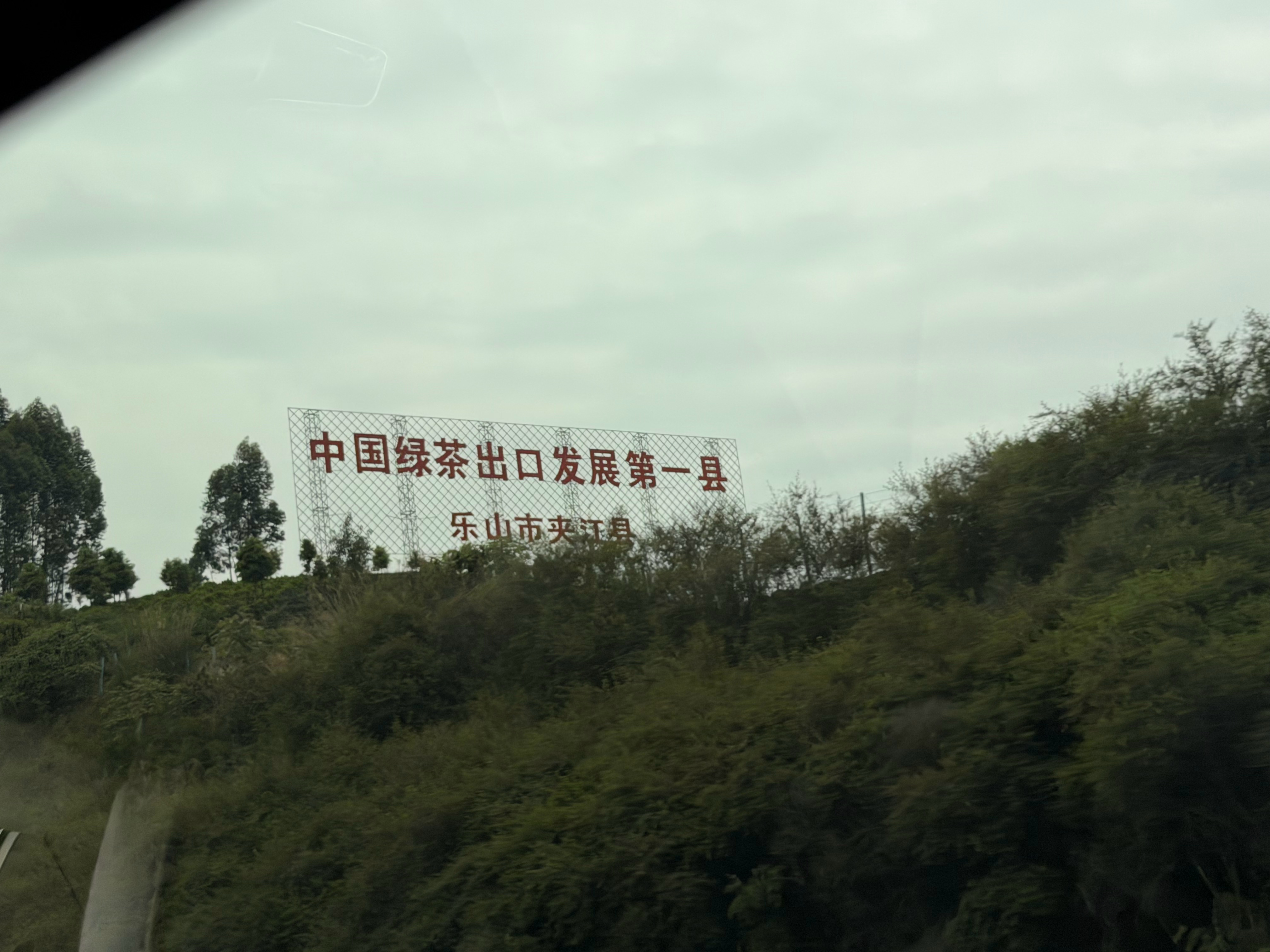 哪位朋友清楚，夹江有什么茶叶，竟然是绿茶出口第一名！ 