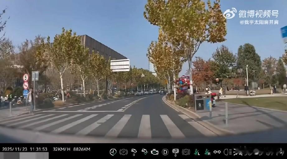 11月23日于上海，一名男子如往常一样驾车时，遭遇一家三口横穿马路。男子鸣笛示意