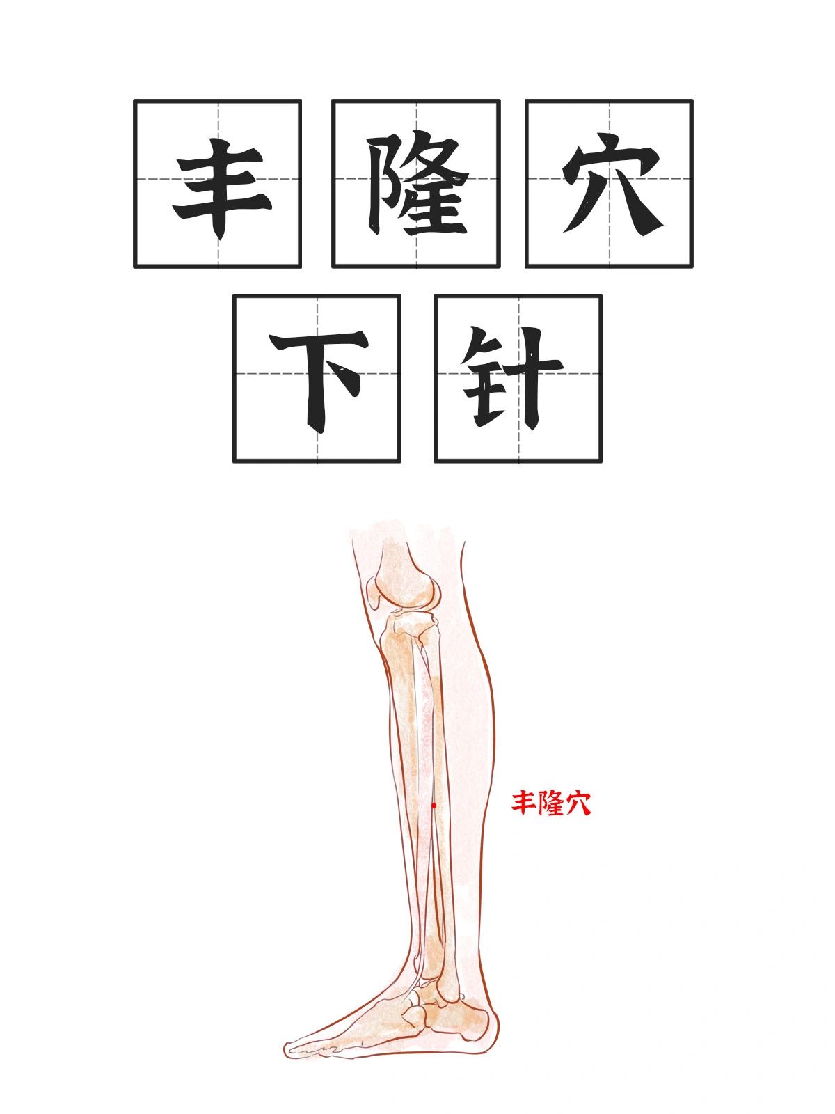 《足阳明胃经》之丰隆穴导引手法
