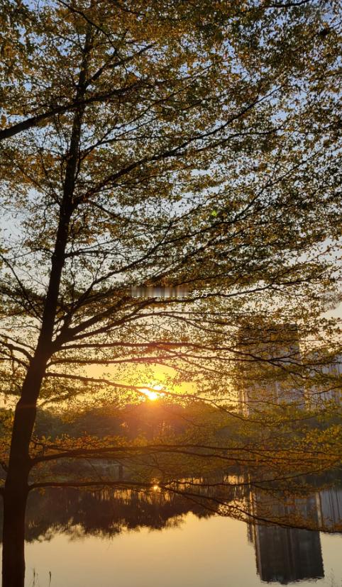 行情一震荡，吃完药的脑袋就看的昏昏沉沉，让小叶助理陪我下来走走，晒晒太阳，光是站