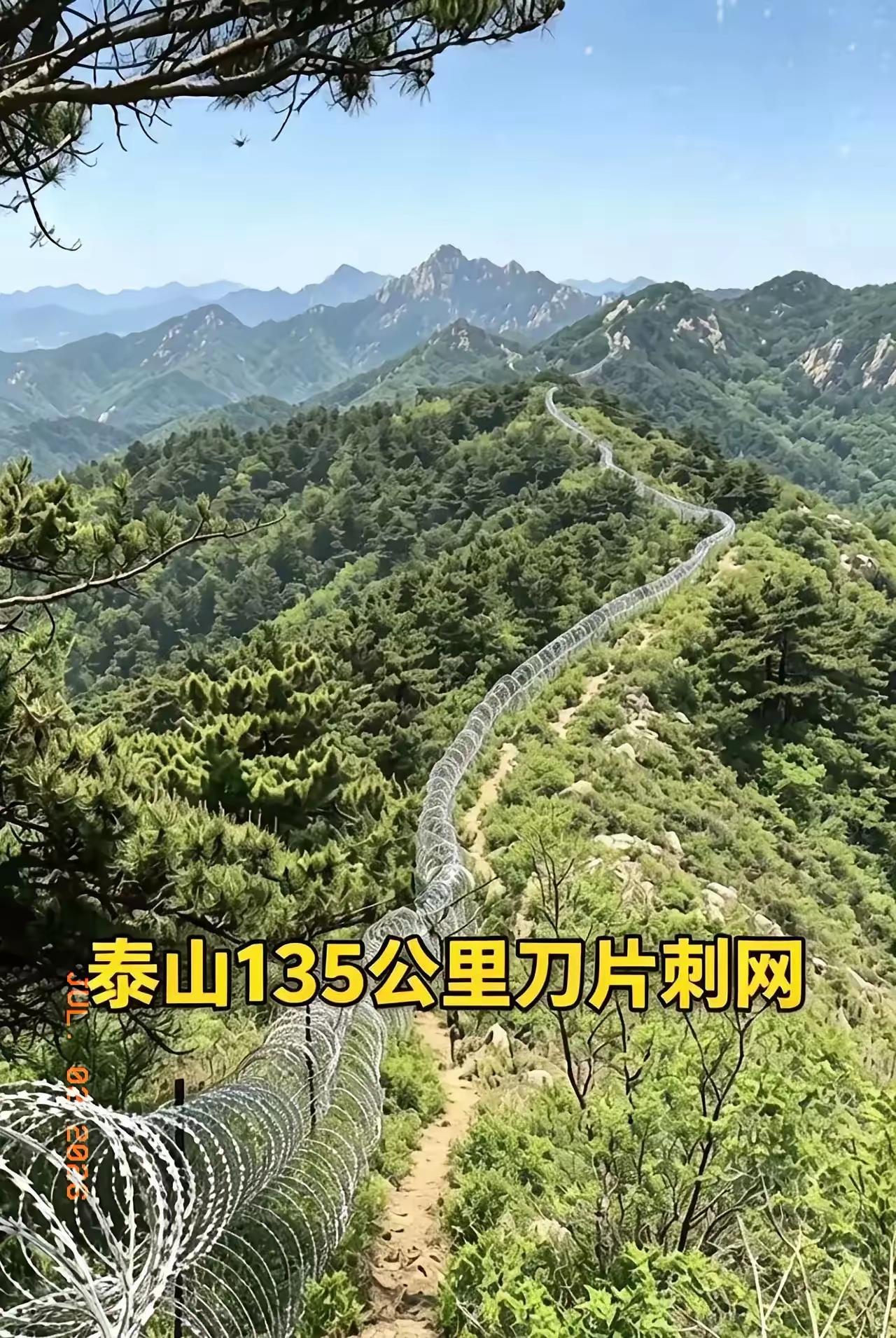 绿水青山当中弄一个这东西，真敢想，真敢干。