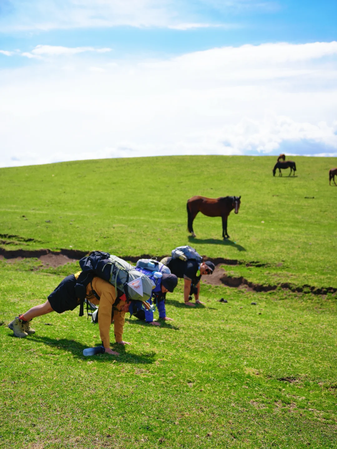 新疆的夏天，戒断反应也太严重了‼️