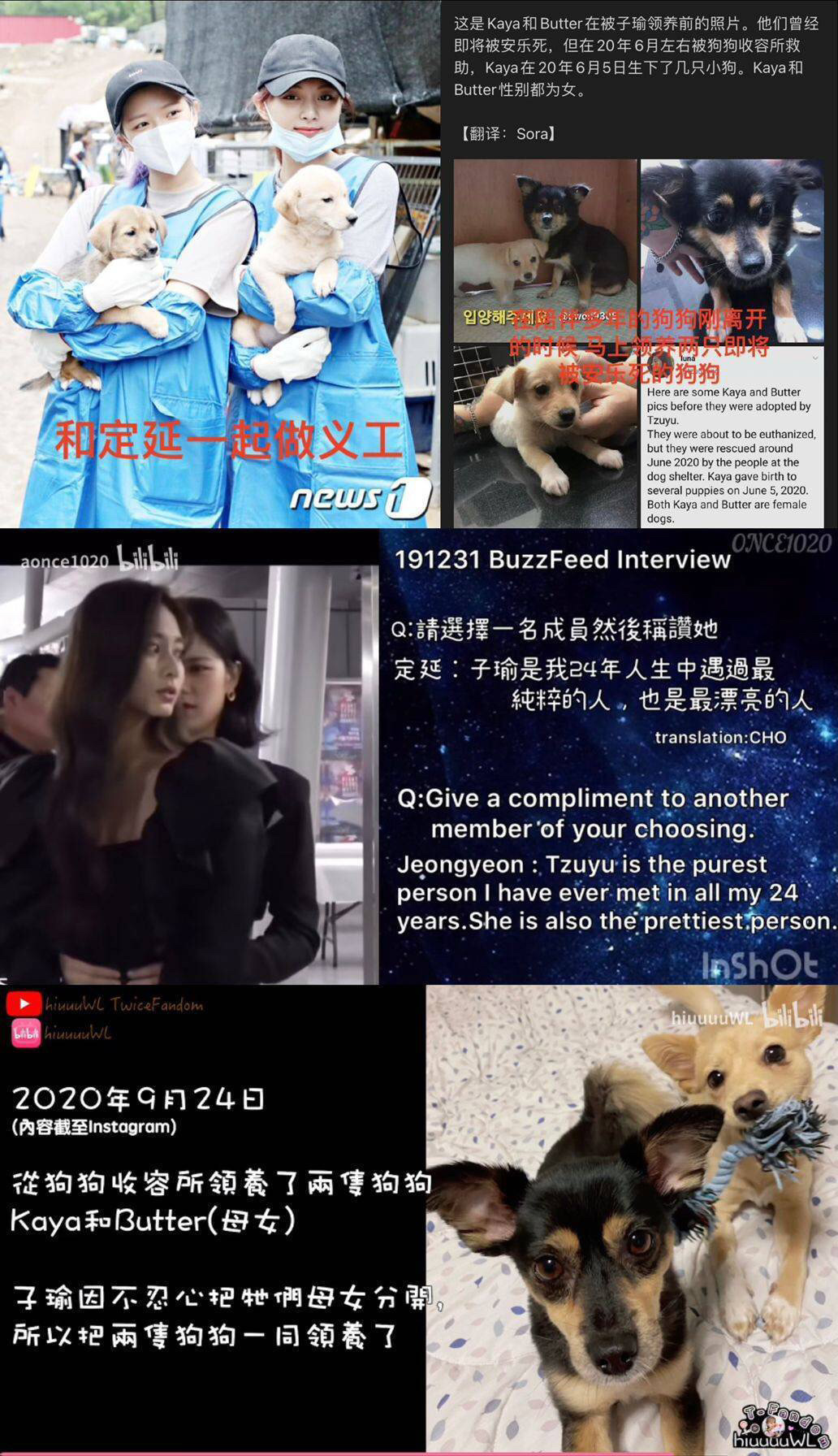 #周子瑜[超话]# 【1194号来信】周子瑜值得世界上的所有美好 ​​​